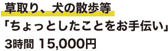 草取り、犬の散歩等 「ちょっとしたことをお手伝い」 3時間 15,000円